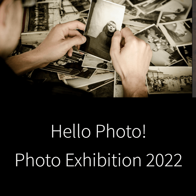 gallery(photo)